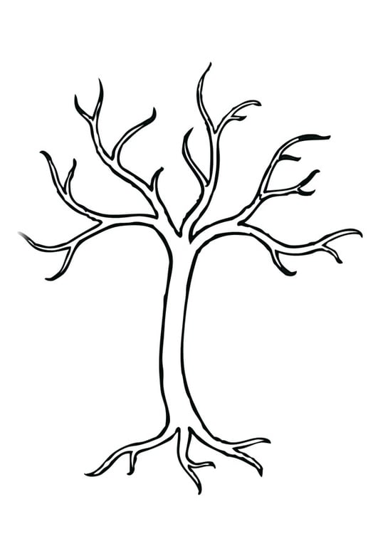 Dibujo para colorear Ã¡rbol