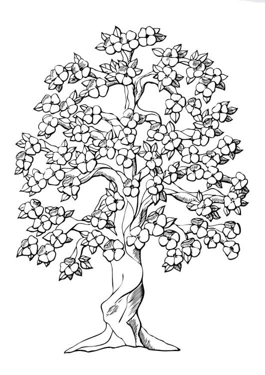 Dibujo para colorear Árbol en flor - Dibujos Para Imprimir Gratis - Img 9980