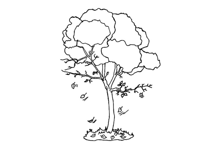 Dibujo para colorear Ãrbol en otoÃ±o