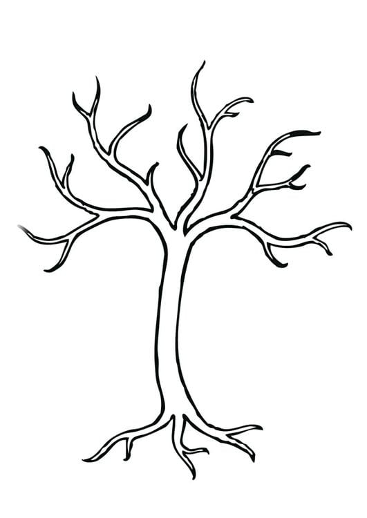 Ã¡rbol