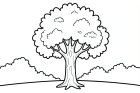 árbol