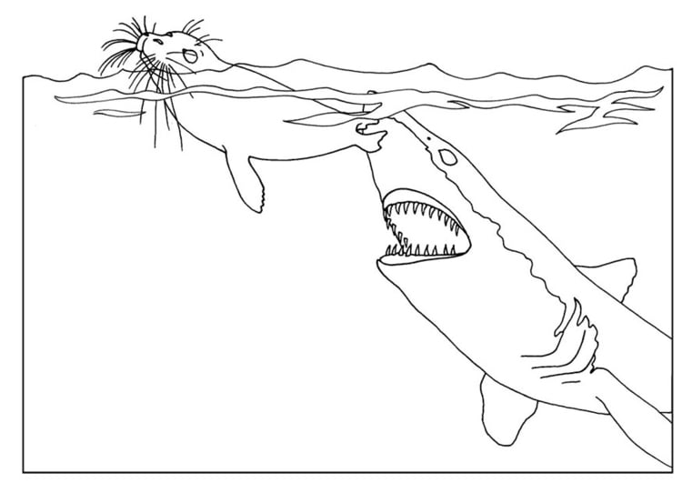 Dibujo para colorear Ataque de tiburÃ³n