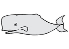 Imagen ballena
