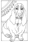 Dibujos para colorear basset