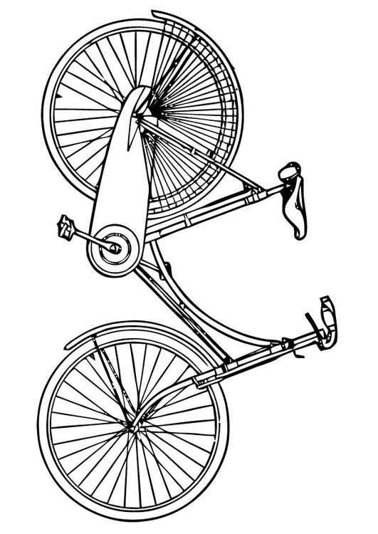 Bicicleta femenina