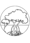 Dibujos para colorear Bosque de mangle