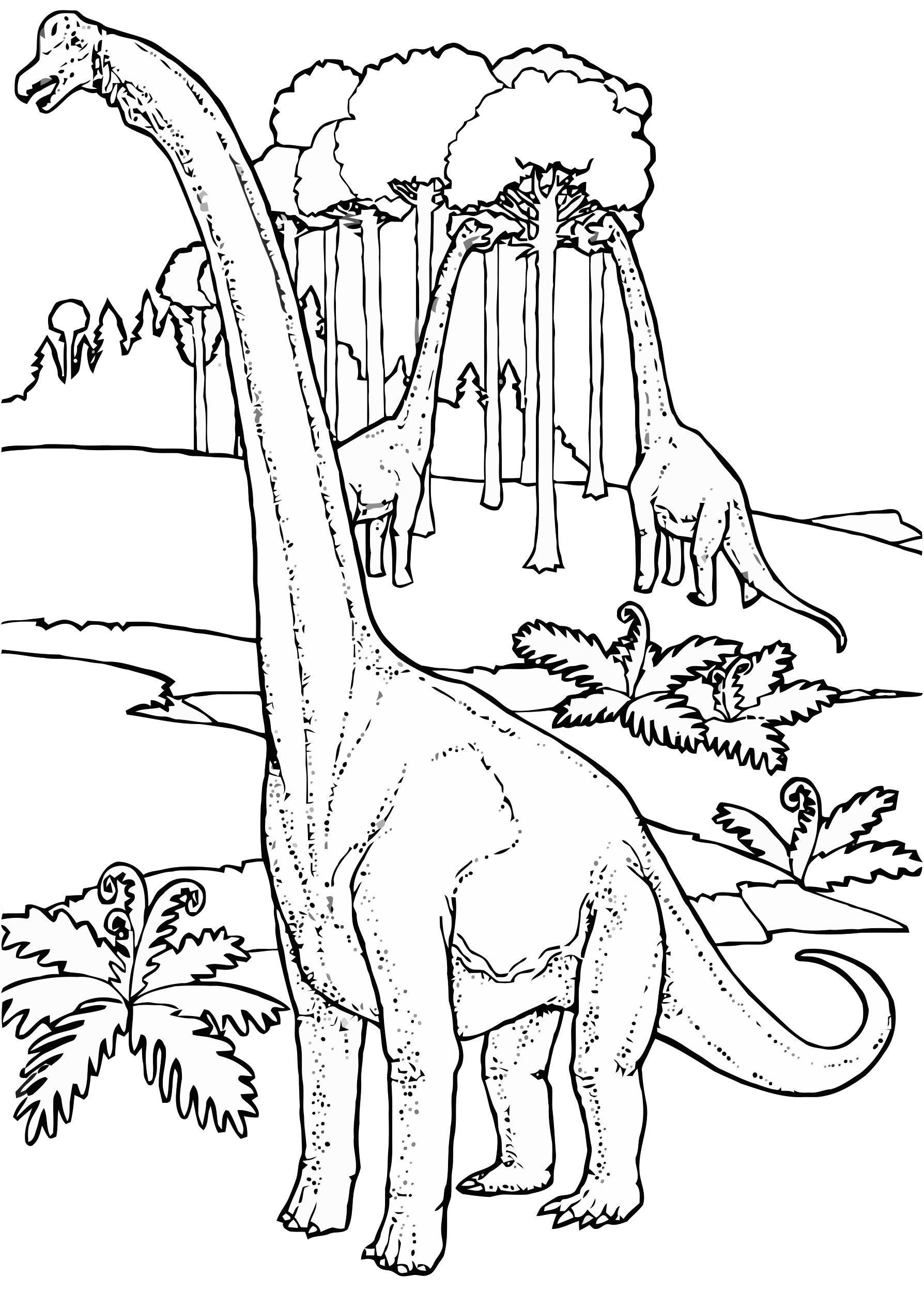 Dibujo para colorear brontosaurios