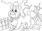 Dibujos para colorear bulldog