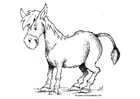 Dibujo para colorear Burro