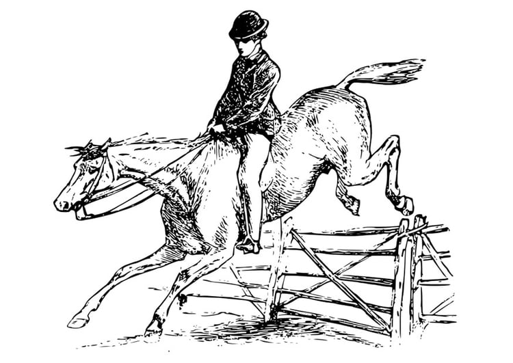 Dibujo para colorear caballo con jinete