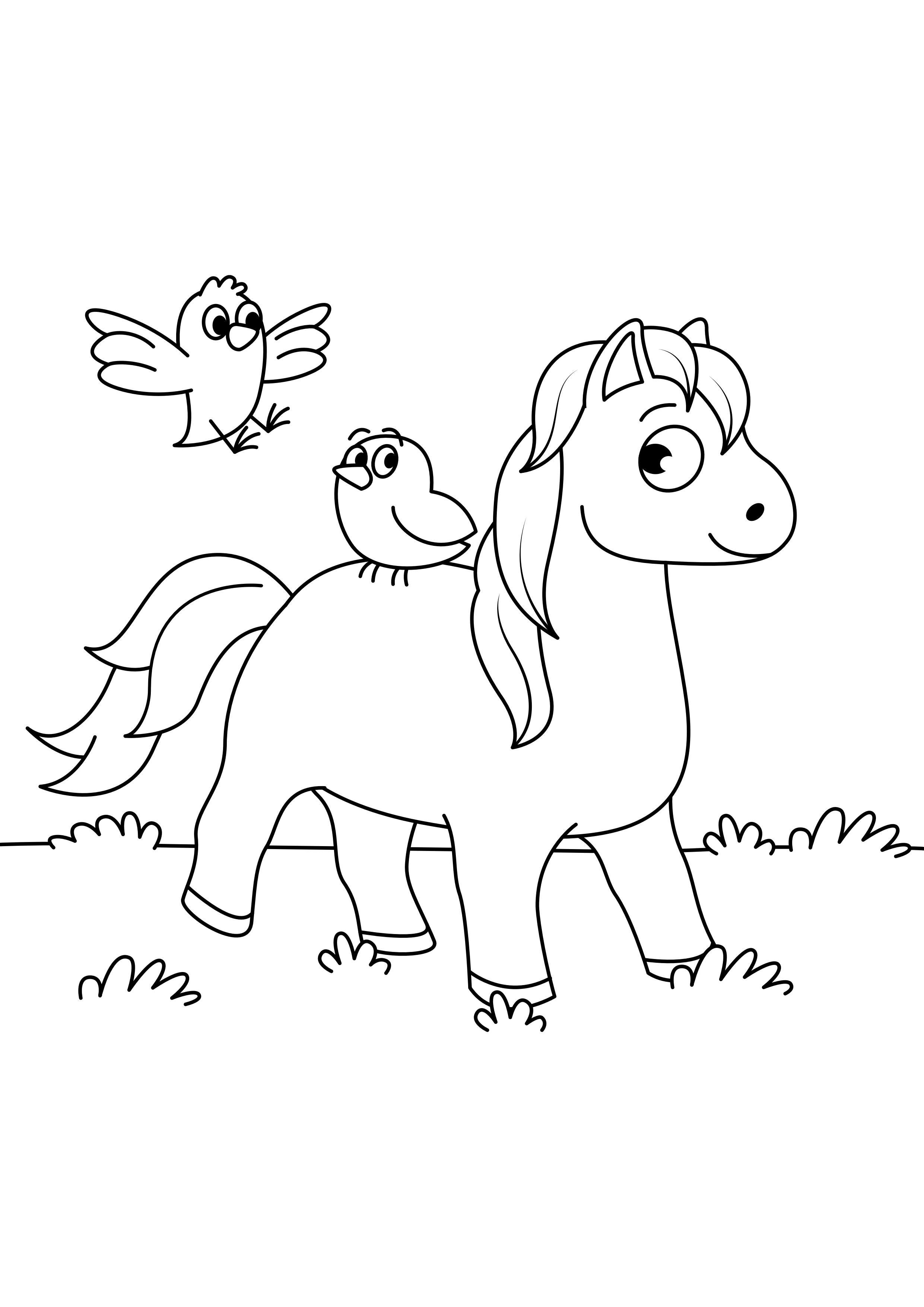 Dibujo para colorear caballo con pÃ¡jaros