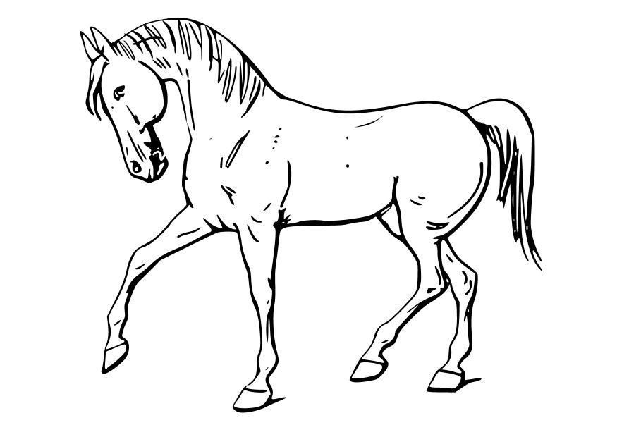 Dibujo para colorear Caballo - Dibujos Para Imprimir Gratis - Img 10346