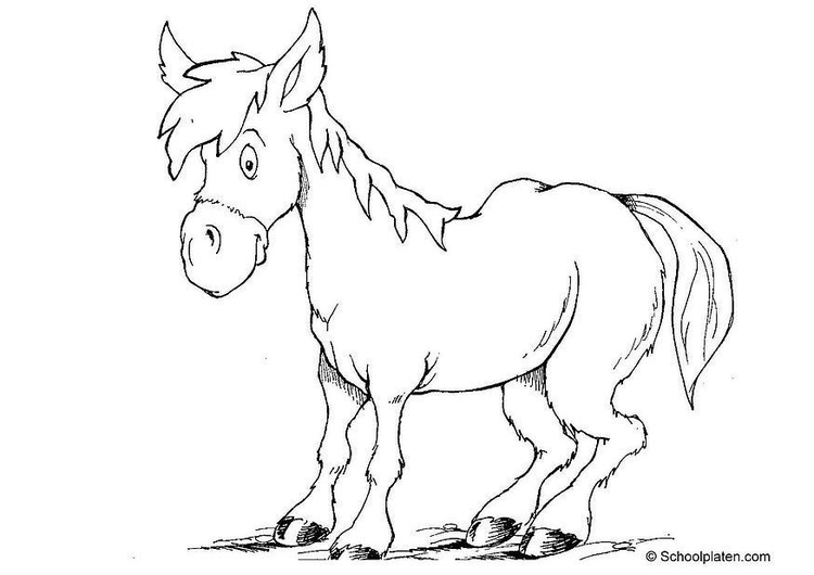 Dibujo para colorear Caballo