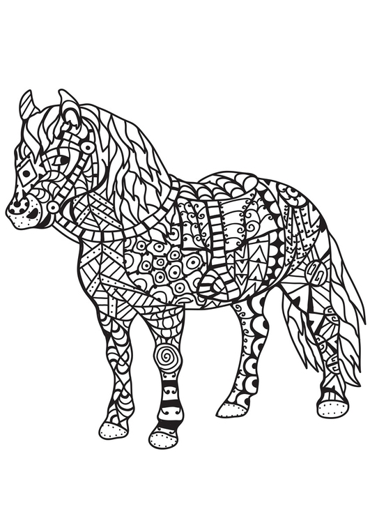 Dibujo para colorear caballo