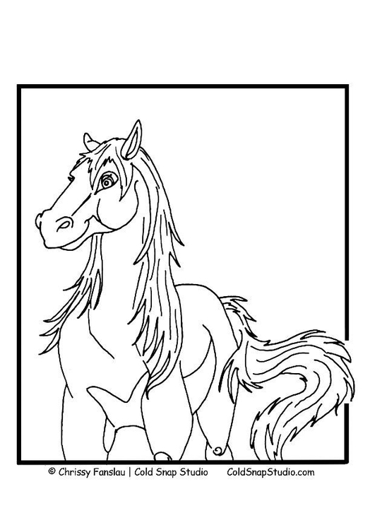 Dibujo para colorear Caballo