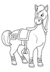 Dibujos para colorear caballo en competencia