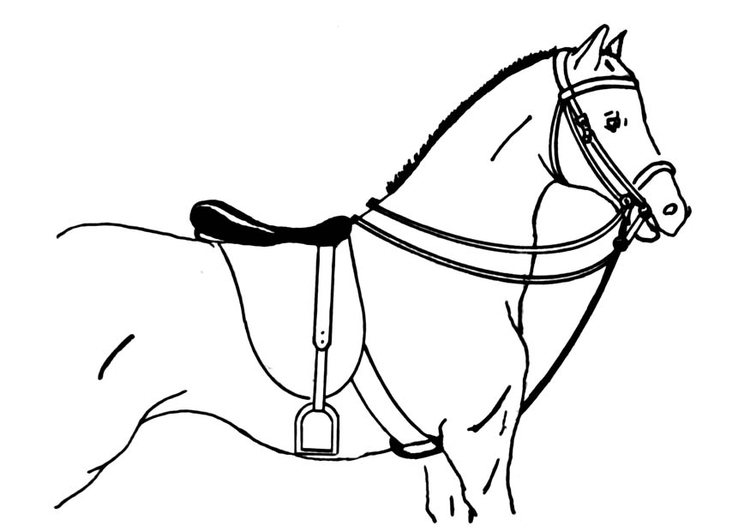Dibujo para colorear caballo ensillado