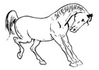 Dibujos para colorear Caballo