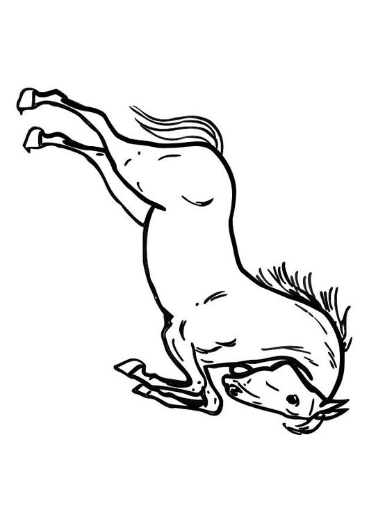 Caballo saltando