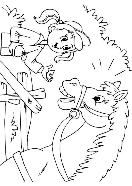 caballo y niÃ±a