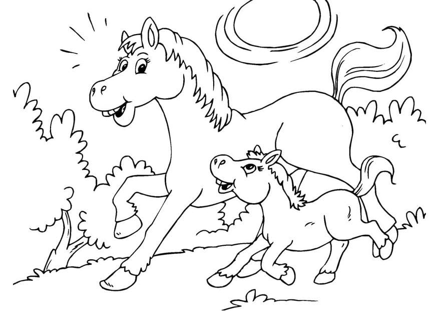 Dibujo para colorear caballo y potro