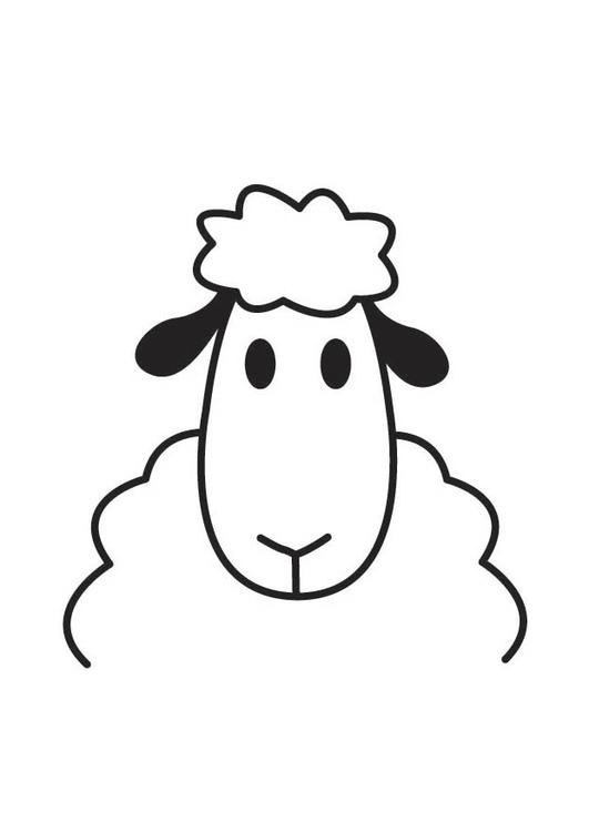 cabeza de oveja
