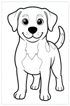 cachorro feliz 