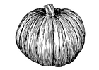 calabaza