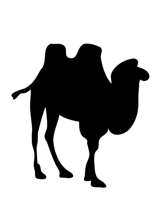 Dibujo para colorear Camello