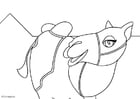 Dibujos para colorear Camello
