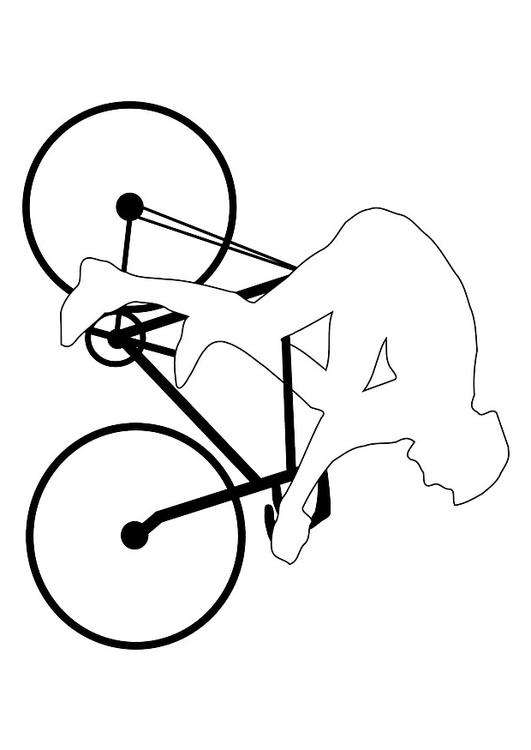 carrera ciclista