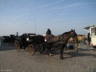Foto carruaje