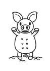 Dibujos para colorear cerdo