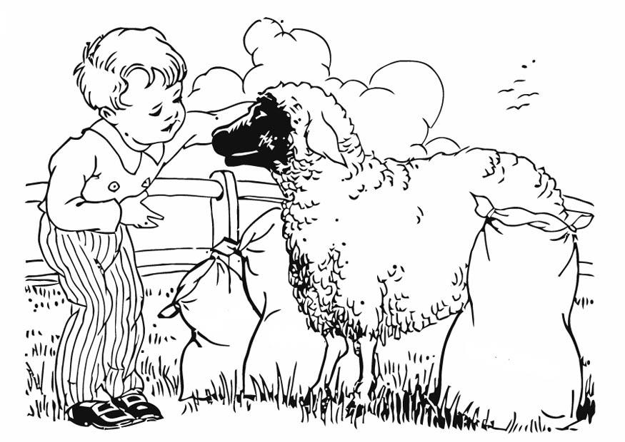 Dibujo para colorear Chico con ovejas