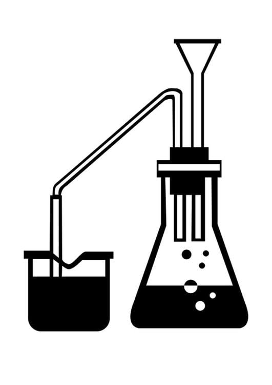 ciencia