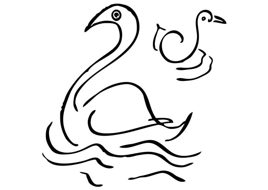 Dibujo para colorear cisnes