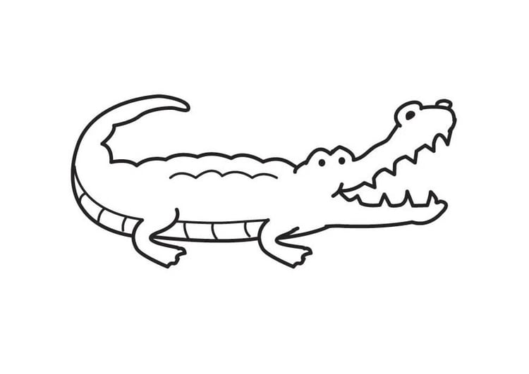 Dibujo para colorear cocodrilo - Dibujos Para Imprimir Gratis - Img 17806