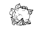Dibujo para colorear Coliflor