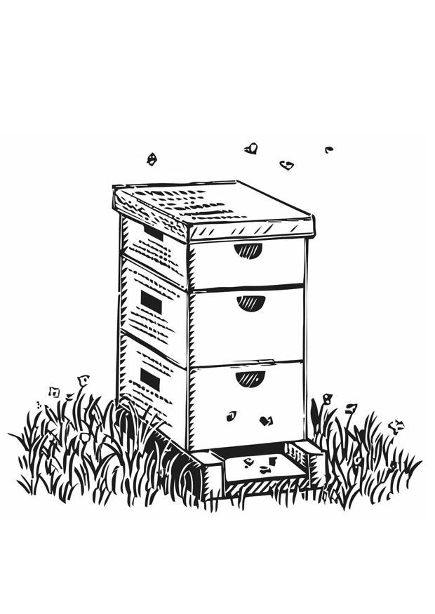 clipart gratuit ruche - photo #49