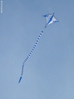 Foto cometa