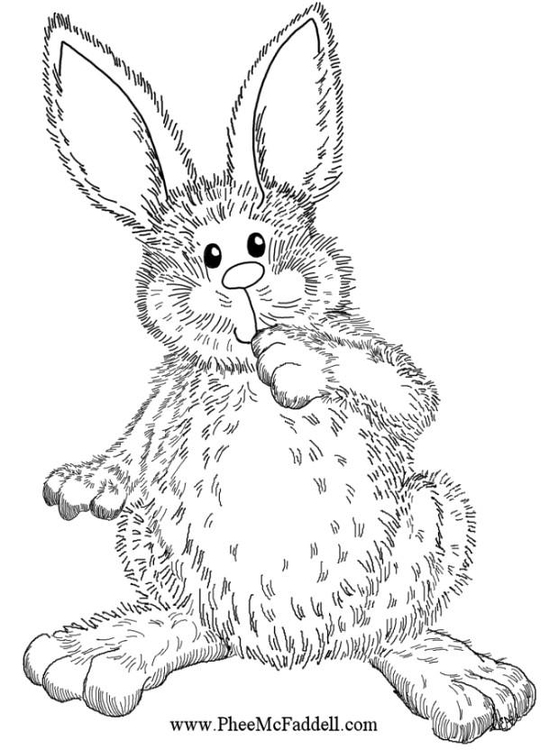 Dibujo para colorear Conejo de pascua