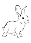 Dibujo para colorear conejo
