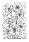 Dibujos para colorear crisantemo