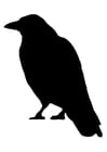 Dibujos para colorear cuervo