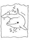 Dibujos para colorear Delfín
