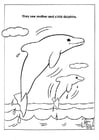 Dibujos para colorear Delfines en parque natural