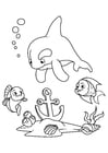 Dibujo para colorear delfines y peces con ancla