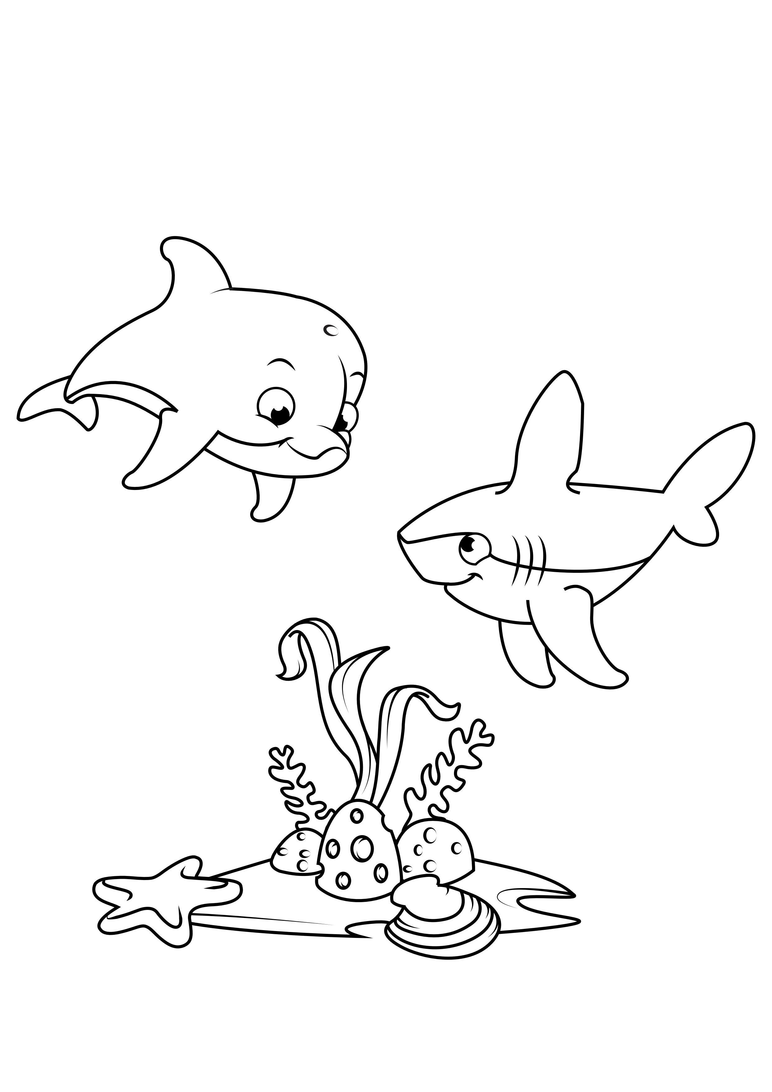 Dibujo para colorear delfines y tiburones