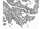 Dibujos para colorear delta de río