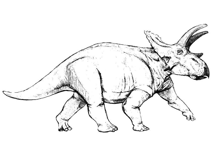 Dibujo para colorear Dinosaurio anchiceratops